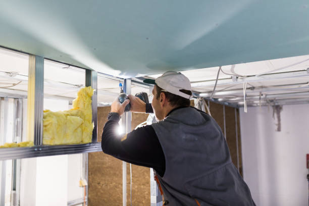 Best Insulation Installation Services in Ester, AK