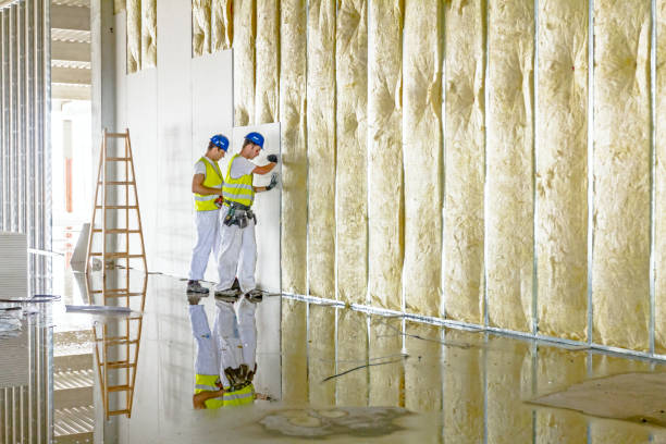 Types of Insulation We Offer in AK